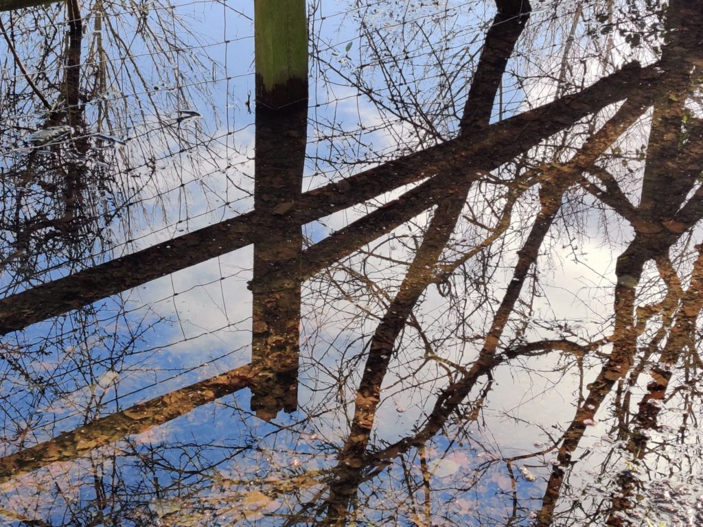 a flooded Gloucestershire field beyond a fence, reflects the sky